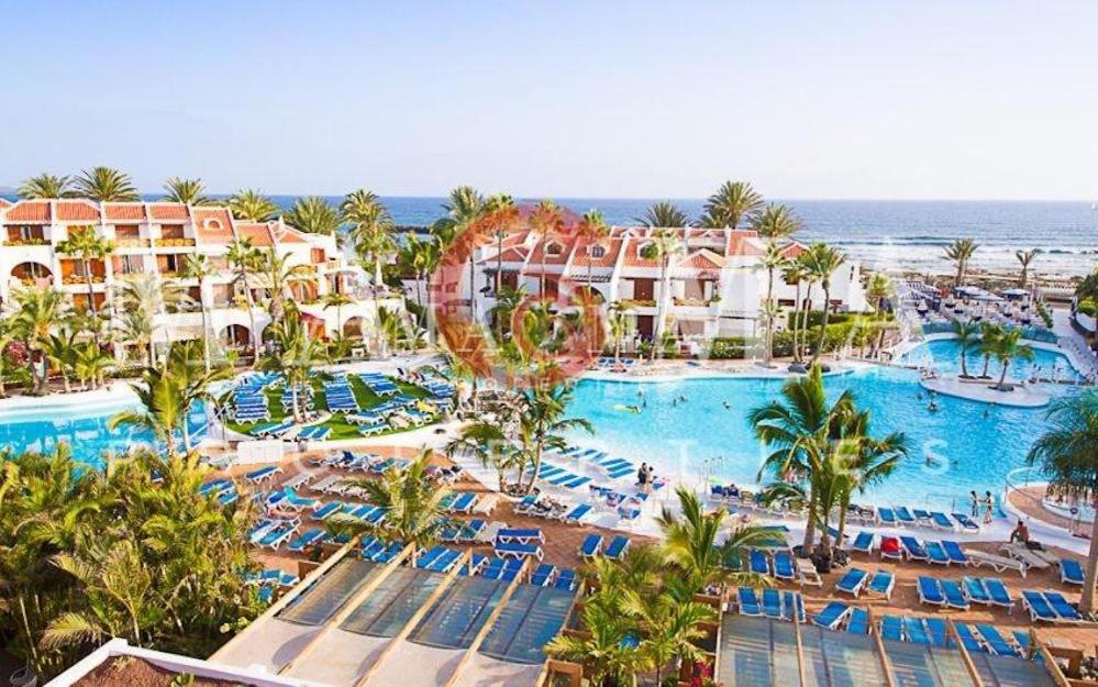 3 Santiago Playa Tenerife Estudio Playa de las Americas (Tenerife) Exterior foto